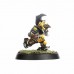 Blood Bowl: Goblin Team